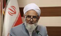 هم‌صدایی علمای شیعه و سنی، پیشران جهاد تبیین و سپر وحدت اسلامی