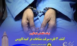 كشف 3 فقره سرقت مشاعات در گنبدكاووس