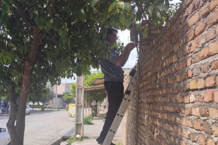نصب مجدد پست‌های سرقتی و برقراری ارتباط مشترکان روستاهای خان‌ببین