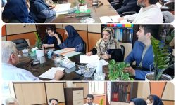 برگزاری اولین جلسه کمیسیون ماده 20 در سال 1405