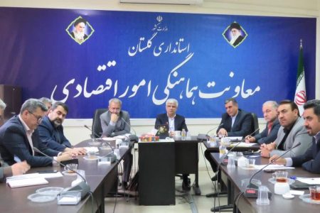 تأکید معاون اقتصادی استاندار گلستان بر تسریع ترخیص کالاهای اساسی و رفع موانع واردات