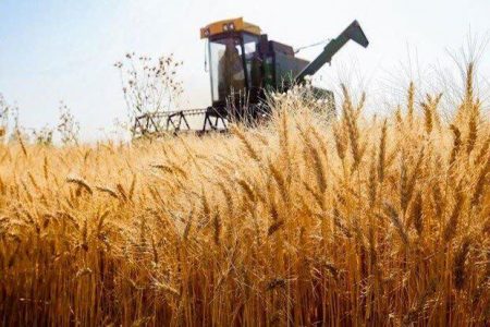 بیش از ۱۰۰مرکز خرید تضمینی گندم در گلستان آماده خدمت‌رسانی به کشاورزان