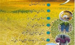 جمع آوری 217 میلیارد تومان زکات توسط شوراهای زکات استان گلستان وتوزیع بین نیازمندان