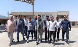 بازدید مدیرکل تعاون، کار و رفاه اجتماعی گلستان از شرکت تعاونی گندم‌داران سیلوی مراوه‌تپه «آرد خوشه» با تأکید بر تقویت اقتصاد تعاونی و امنیت غذایی