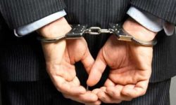 کلاهبرداری در پوشش بادیگارد