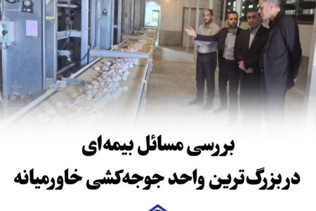 بازدید مدیرکل تأمین اجتماعی استان گلستان از مجتمع جوجه‌کشی «کاسپین طلائی چیکا»؛ گامی در جهت حمایت از تولید و اشتغال