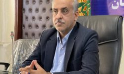 خرید توافقی سیب‌زمینی به حمایت از کشاورزان و تعادل بازار کمک کرد