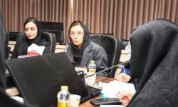 بررسی ظرفیت‌ها و چالش‌های اشتغال بانوان در سومین نشست کارگروه استان گلستان