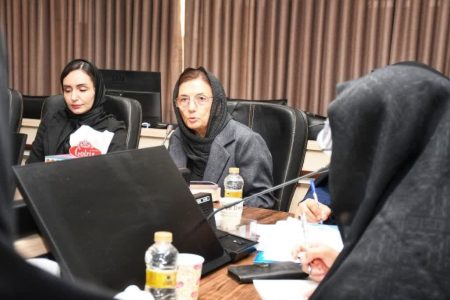 بررسی ظرفیتها و چالشهای اشتغال بانوان در سومین نشست کارگروه استان گلستان