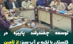  توسعه چغندرقند پاییزه در گلستان با تکیه بر آب سبز؛ از تأمین شکر تا افزایش رضایت کشاورزان