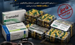 رسیدگی‌به پرونده کالای قاچاق ۱۷۶۰۰ عدد قرص ترامادول در شعبه هشتم تعزیرات