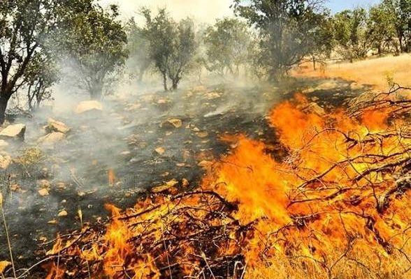 عملیات اطفای حریق جزیره آشوراده با بالگرد جمعیت هلال‌احمر گلستان