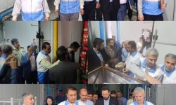 نظارت ویژه بر سلامت محموله ۲ هزار تنی مرغ منجمد در گلستان