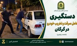 دستگیری عامل سرقت و تخریب خودرو در گرگان