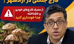 هشدار رئیس دانشگاه علوم پزشکی گلستان درباره خطر مسمومیت با قارچ‌های جنگلی
