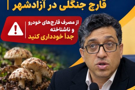 هشدار رئیس دانشگاه علوم پزشکی گلستان درباره خطر مسمومیت با قارچ‌های جنگلی