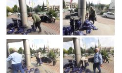 پیوند مهربانی از گلستان تا جنوب؛