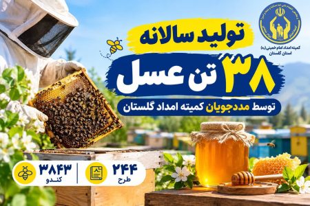    فعالیت ۲۴۴ طرح پرورش زنبور عسل با تولید سالانه ۳۸ تن عسل توسط مددجویان گلستان