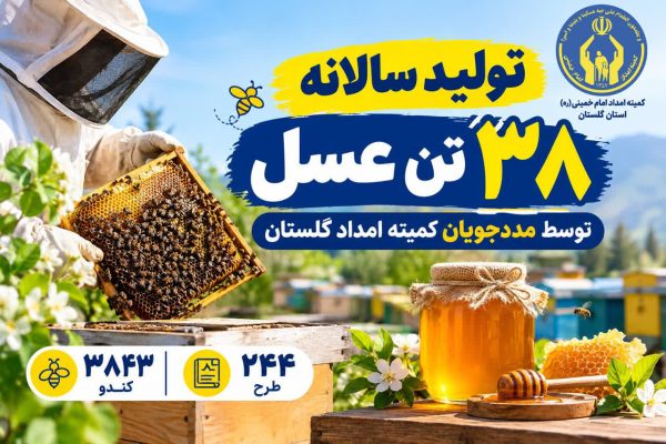    فعالیت ۲۴۴ طرح پرورش زنبور عسل با تولید سالانه ۳۸ تن عسل توسط مددجویان گلستان