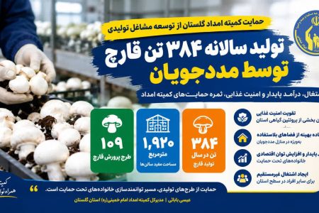 حمایت کمیته امداد گلستان از توسعه مشاغل تولیدی و توانمندسازی اقتصادی خانوادههای تحت حمایت